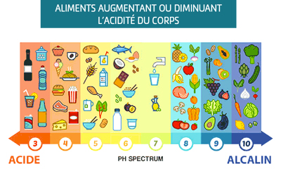 Aliments alcalinisants ou acidifiants